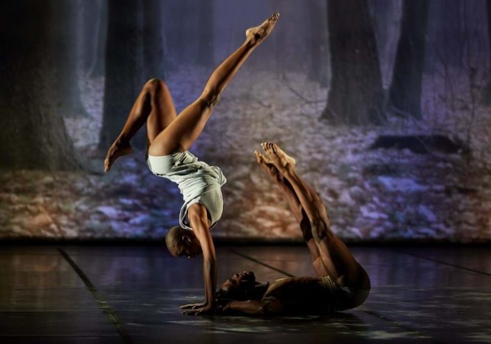 acosta-danza-evolution-3